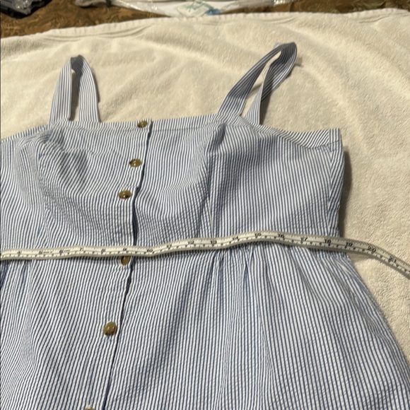 J. Crew Blue and White Buttoned Sundress - Picture 4 of 8